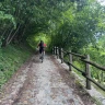 Tour in E-Bike in Val Camonica