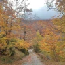 Trekking al Tramonto nel Parco Nazionale del Pollino