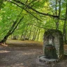 Trekking nel Bosco di Sant’Antonio a Pescocostanzo