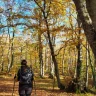 Trekking nel Bosco di Sant’Antonio a Pescocostanzo