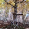 Trekking nel Parco Nazionale del Pollino