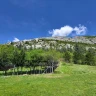 Trekking nell'Area Faunistica del Camoscio Appenninico