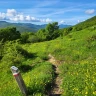 Trekking nell'Area Faunistica dell'Orso Bruno