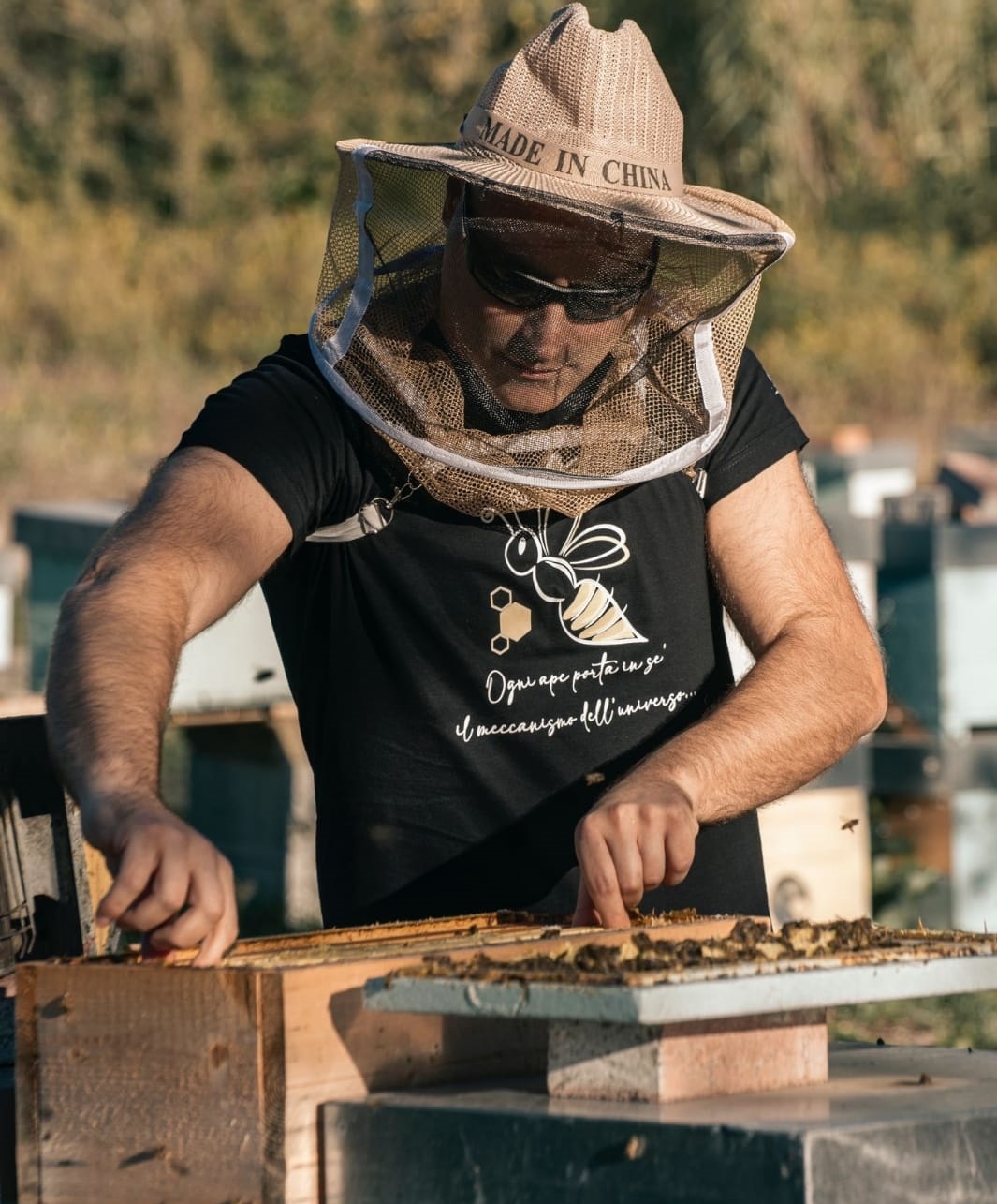 Giornata da apicoltore vicino Formia