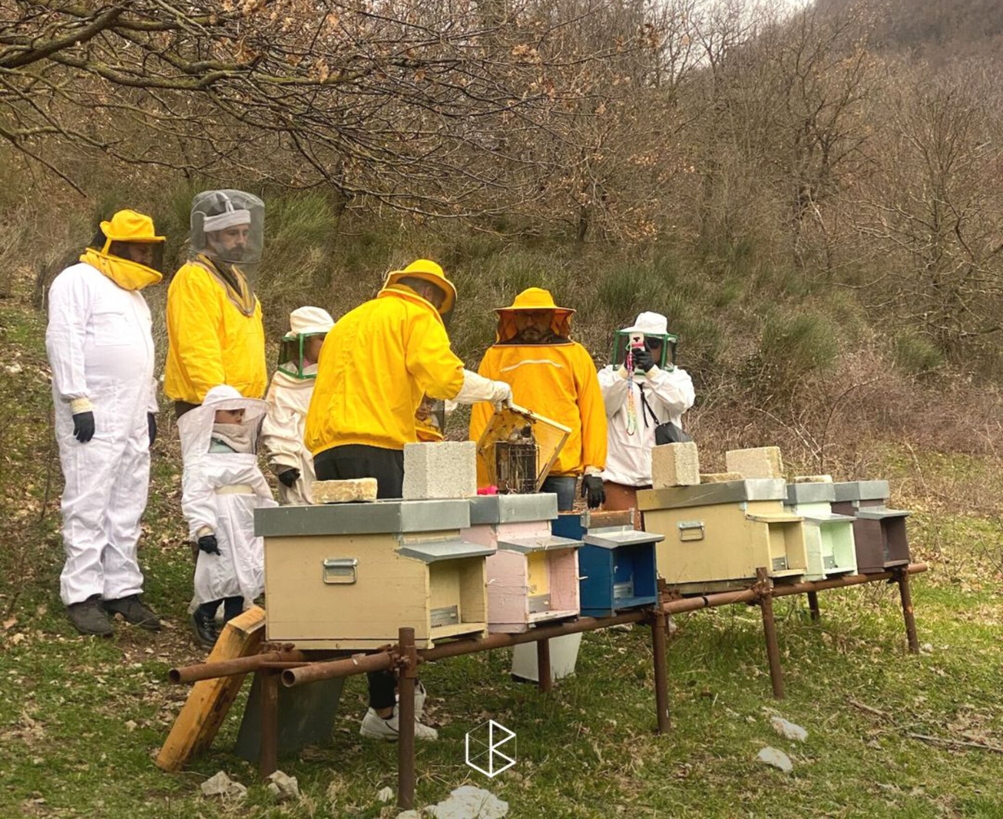 Giornata da Apicoltore con Degustazione di Miele a Fabriano