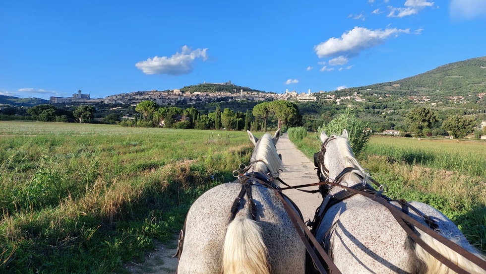 Giro in Carrozza ad Assisi e Rivotorto