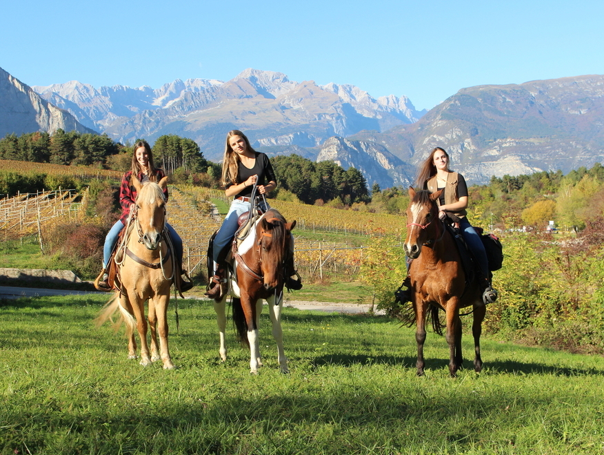 Passeggiata a Cavallo sul Monte Gaggio in Trentino