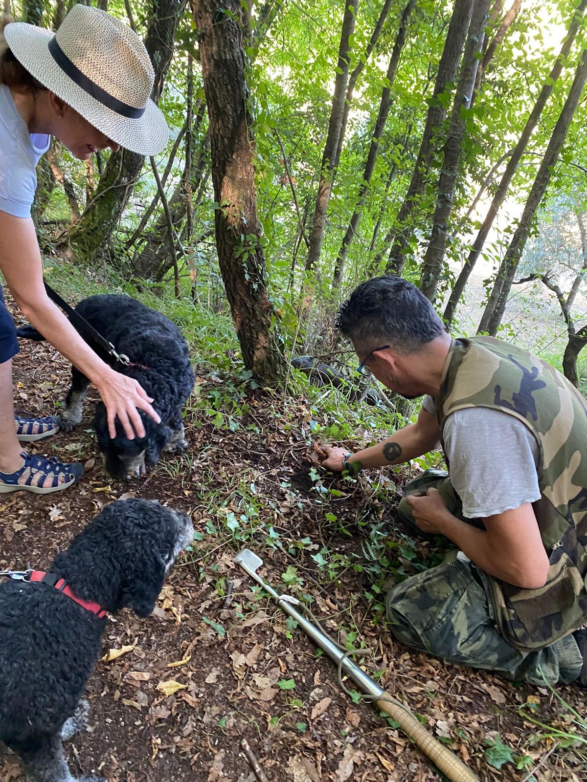 Caccia al tartufo in Toscana vicino Siena