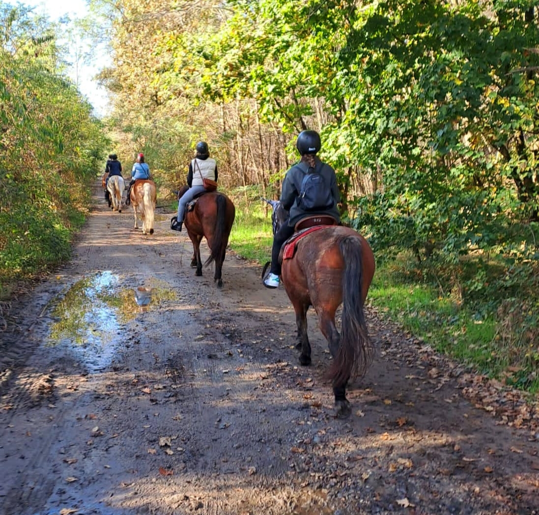 Passeggiata a cavallo nel Parco del Ticino vicino Milano 