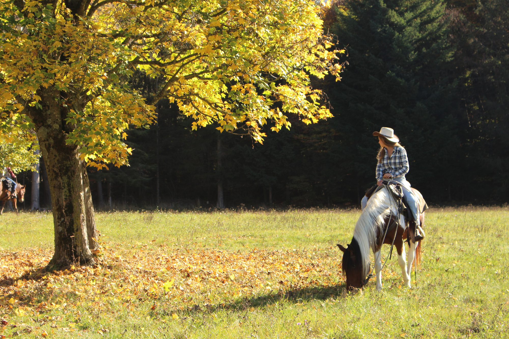 Passeggiata a Cavallo a Cavedine