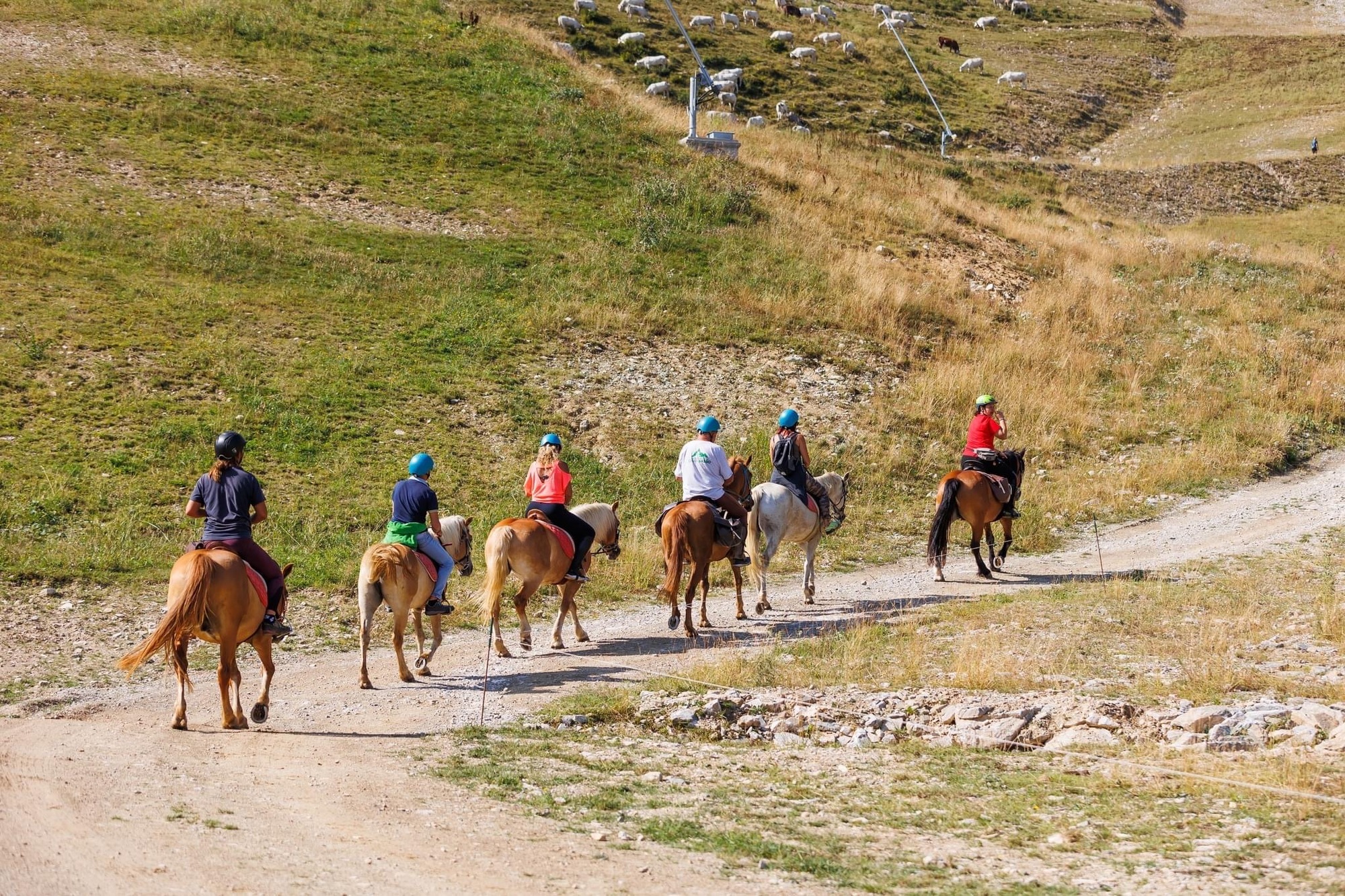 Escursione a cavallo al Lago di Pianfei in Piemonte