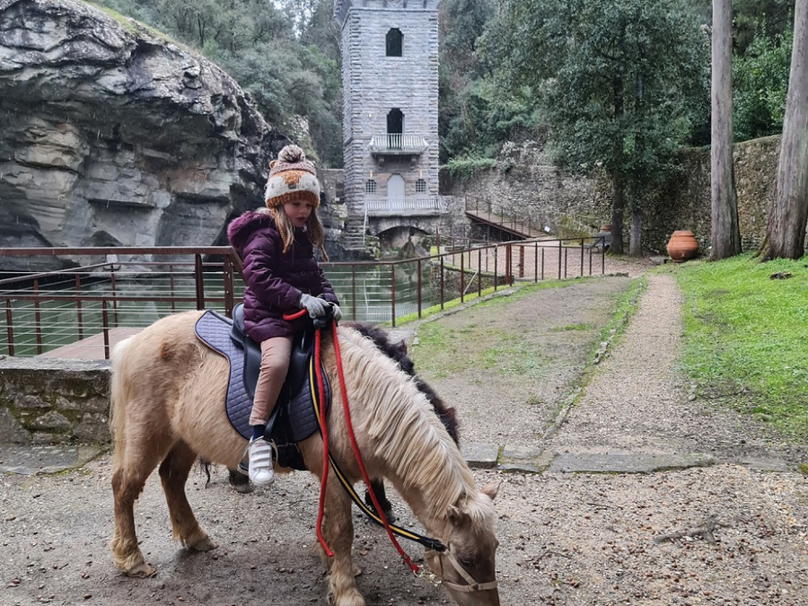 Passeggiata in sella ai Pony vicino Firenze