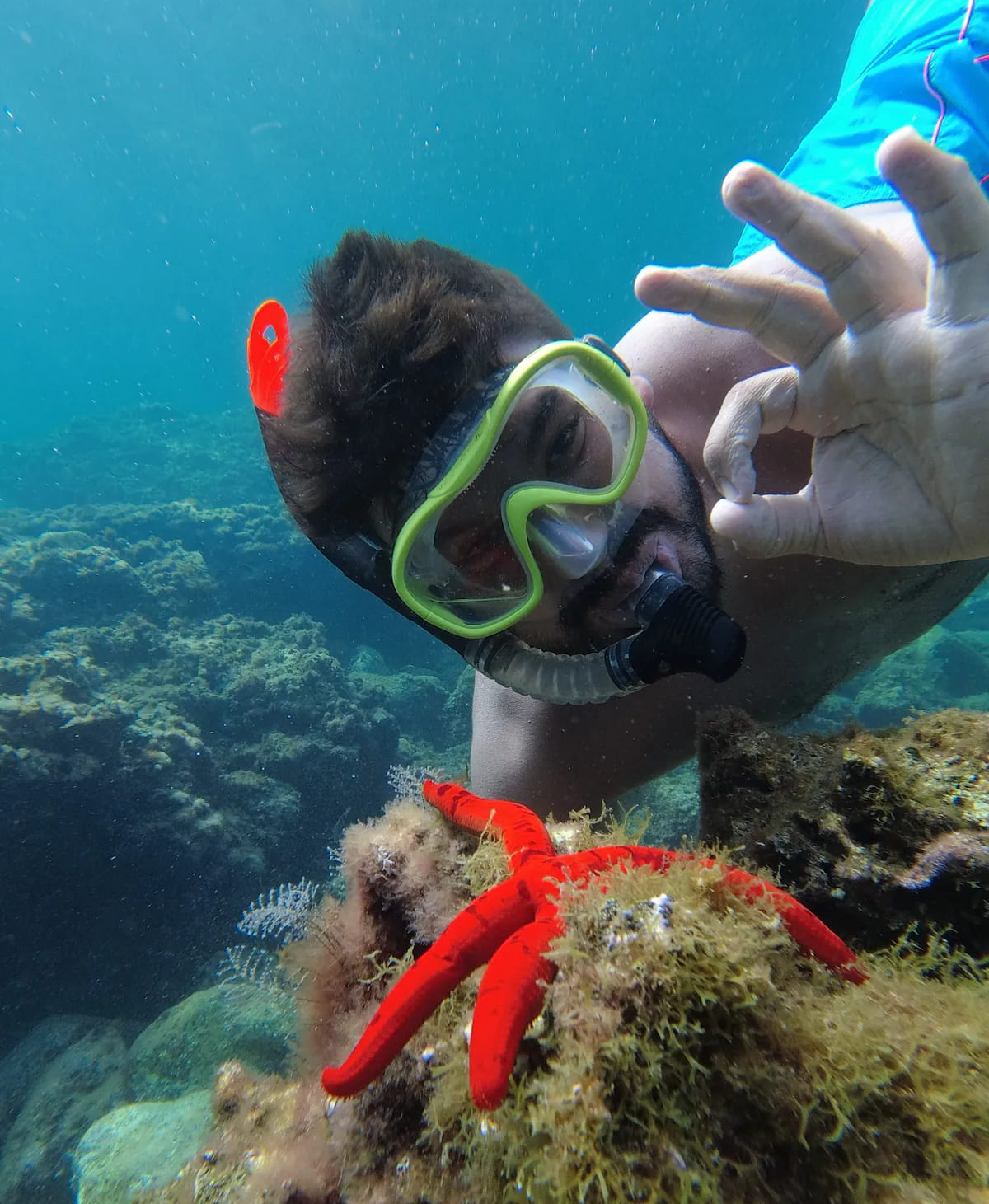 Snorkeling tour alle Isole Ciclopiche