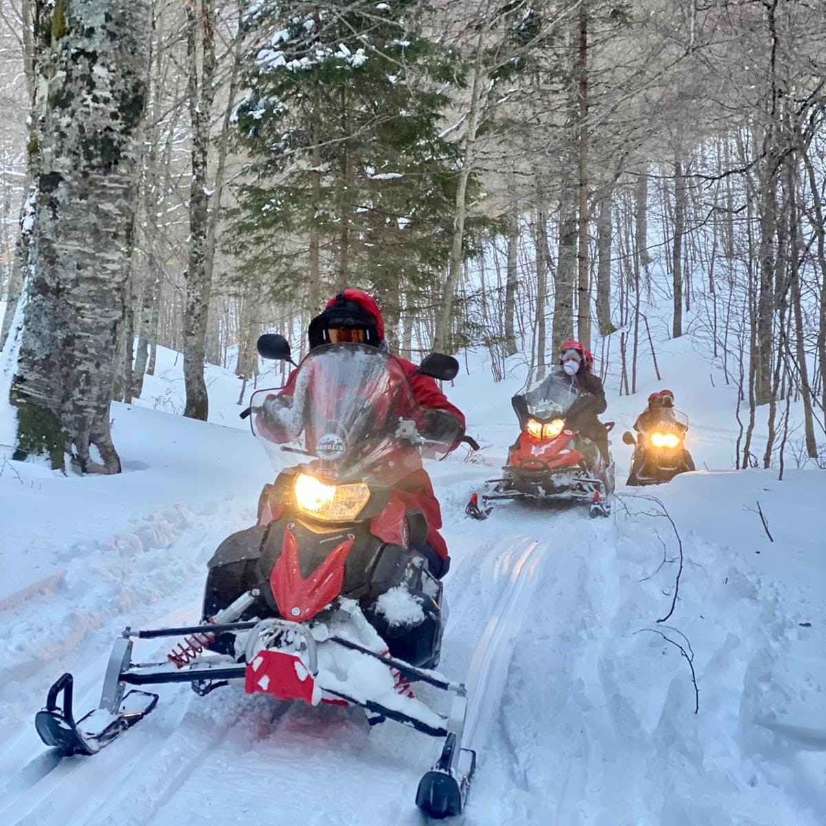 Escursione in Motoslitta in Abruzzo a Roccaraso