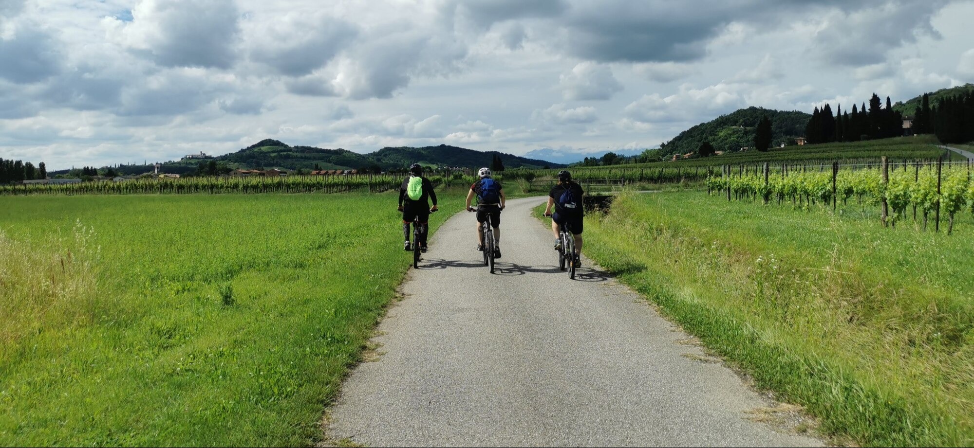 Tour Privato in E-bike tra i Vigneti di Cividale del Friuli